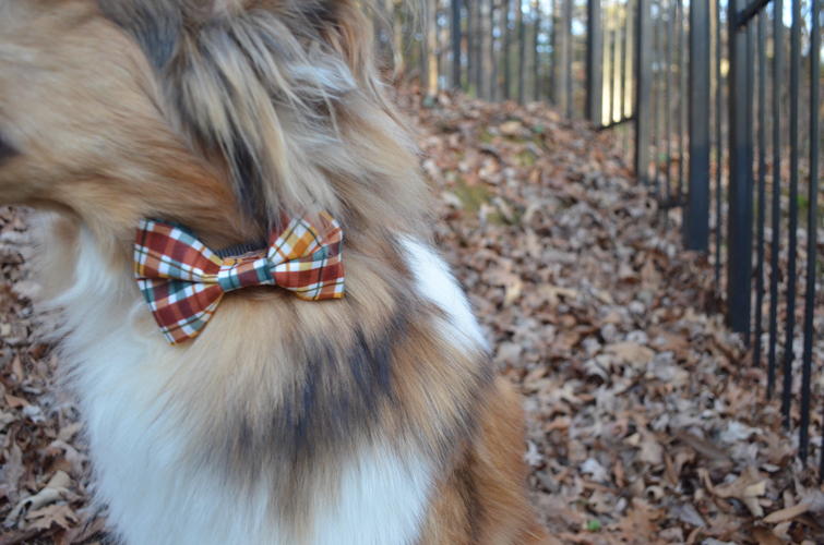 Piper and Friends Fall Bow 2