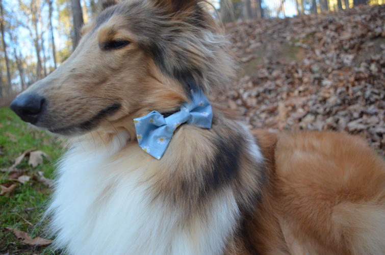 Piper and Friends Spring Bow